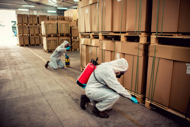 Best Emergency Pest Control  in Copperas Cove, TX