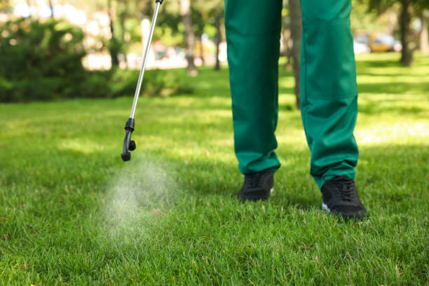 Best Best Pest Control Companies  in Copperas Cove, TX