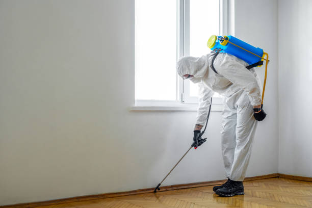 Professional Pest Control in Copperas Cove, TX