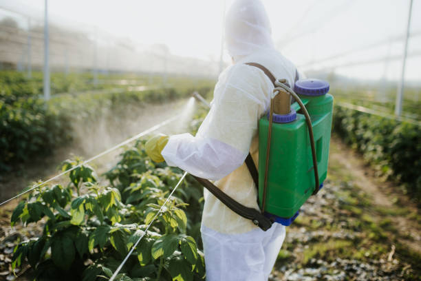 Best Bed Bug Extermination  in Copperas Cove, TX